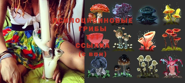 дживик Карпинск