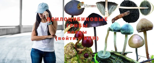 apvp Карталы