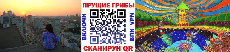 Купить закладки  Ачхой-Мартан  Галлюциногенные грибы прущие грибы 