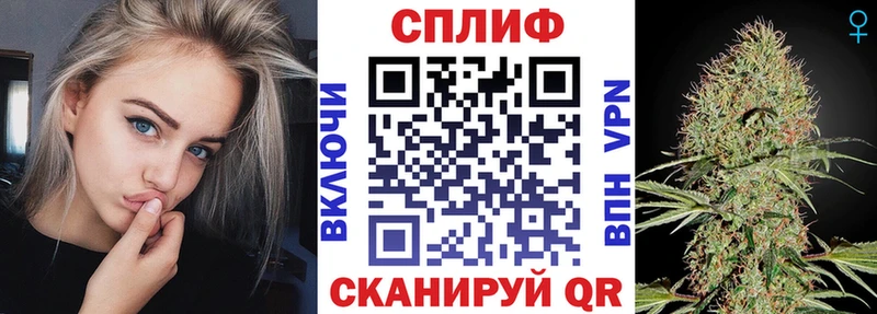 Бошки Шишки White Widow  Купить закладки  Ачхой-Мартан 